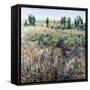 Soft Grove-Tim O'toole-Framed Stretched Canvas