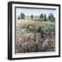 Soft Grove-Tim O'toole-Framed Giclee Print