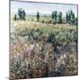 Soft Grove-Tim O'toole-Mounted Giclee Print