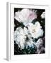 Soft Hue Flowers-Design Fabrikken-Framed Art Print