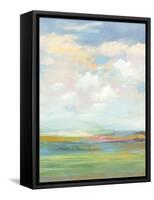 Soft-hued Scene-Paul Duncan-Framed Stretched Canvas