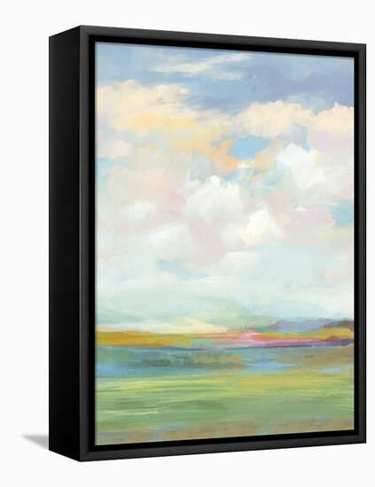 Soft-hued Scene-Paul Duncan-Framed Stretched Canvas