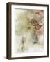 Soft Inspiration III-Joyce Combs-Framed Art Print