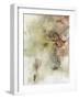 Soft Inspiration III-Joyce Combs-Framed Art Print