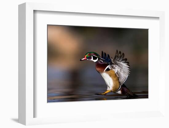 Soft Landing-Verdon-Framed Photographic Print