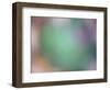 Soft Landscape IX-James McLoughlin-Framed Photographic Print