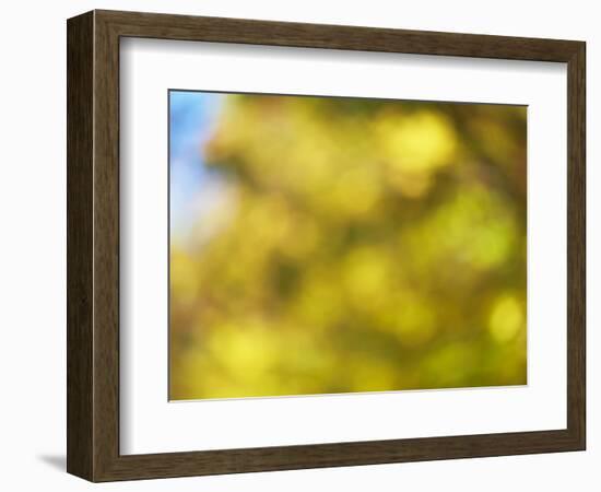 Soft Landscape VI-James McLoughlin-Framed Photographic Print