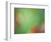 Soft Landscape VIII-James McLoughlin-Framed Photographic Print