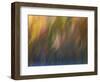 Soft Landscape X-James McLoughlin-Framed Photographic Print