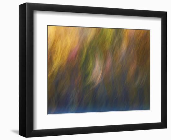 Soft Landscape X-James McLoughlin-Framed Photographic Print