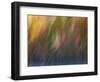 Soft Landscape X-James McLoughlin-Framed Photographic Print