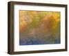 Soft Landscape XI-James McLoughlin-Framed Photographic Print