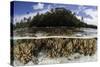 Soft Leather Corals Grow in the Shallow Waters in the Solomon Islands-Stocktrek Images-Stretched Canvas