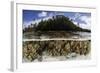 Soft Leather Corals Grow in the Shallow Waters in the Solomon Islands-Stocktrek Images-Framed Photographic Print