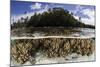 Soft Leather Corals Grow in the Shallow Waters in the Solomon Islands-Stocktrek Images-Mounted Photographic Print