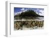 Soft Leather Corals Grow in the Shallow Waters in the Solomon Islands-Stocktrek Images-Framed Photographic Print