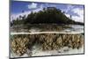 Soft Leather Corals Grow in the Shallow Waters in the Solomon Islands-Stocktrek Images-Mounted Photographic Print