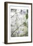 Soft Leaves I-Dianne Poinski-Framed Art Print