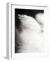 Soft Light - Drift-Chris Dunker-Framed Giclee Print