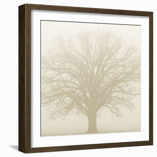 Soft Light I-Adam Brock-Framed Giclee Print