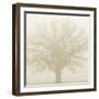 Soft Light I-Adam Brock-Framed Giclee Print