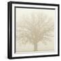 Soft Light I-Adam Brock-Framed Giclee Print