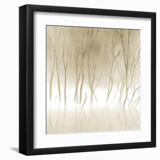 Soft Light II-Adam Brock-Framed Giclee Print