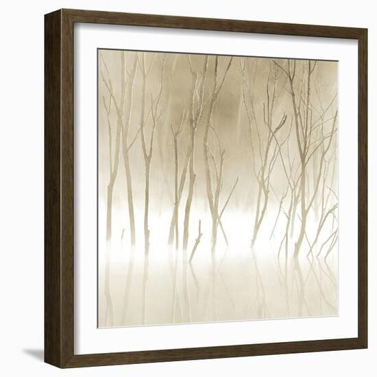 Soft Light II-Adam Brock-Framed Giclee Print