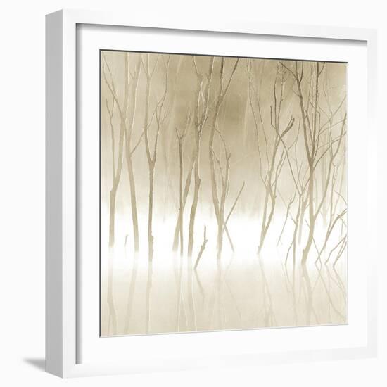 Soft Light II-Adam Brock-Framed Giclee Print