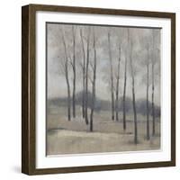 Soft Light II-Tim OToole-Framed Art Print