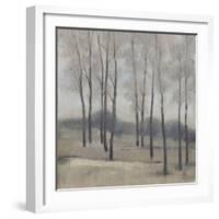 Soft Light II-Tim OToole-Framed Art Print