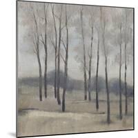 Soft Light II-Tim OToole-Mounted Art Print