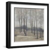 Soft Light II-Tim OToole-Framed Art Print