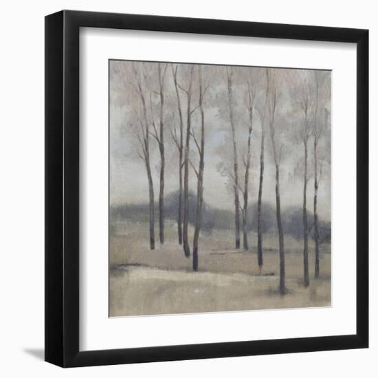 Soft Light II-Tim OToole-Framed Art Print