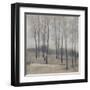 Soft Light II-Tim OToole-Framed Art Print