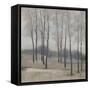 Soft Light II-Tim OToole-Framed Stretched Canvas