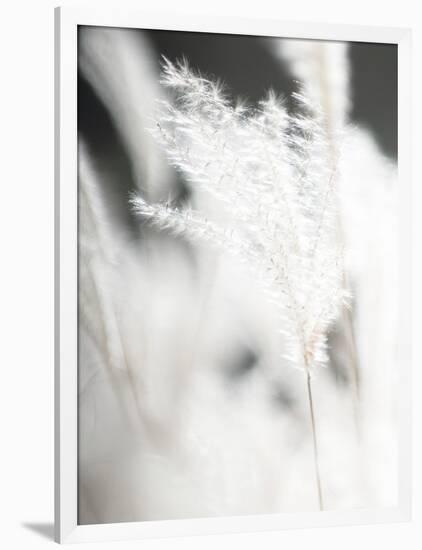 Soft Light - Wave-Chris Dunker-Framed Giclee Print