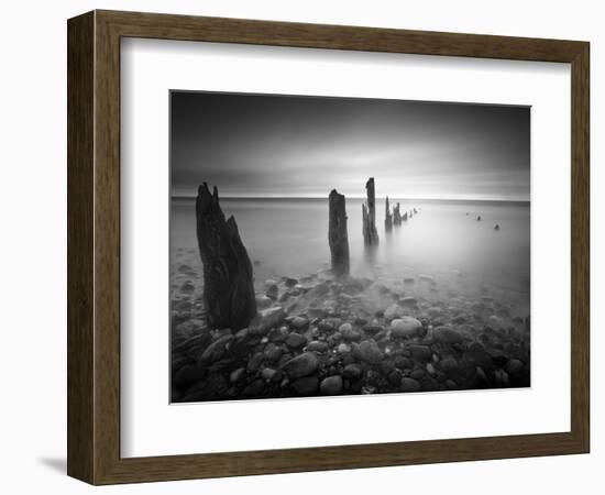 Soft Light-Martin Henson-Framed Photographic Print