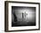 Soft Light-Martin Henson-Framed Photographic Print