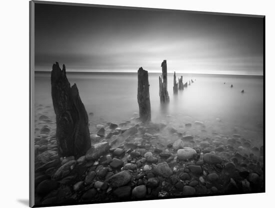 Soft Light-Martin Henson-Mounted Photographic Print