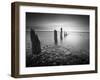 Soft Light-Martin Henson-Framed Premium Photographic Print