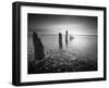 Soft Light-Martin Henson-Framed Premium Photographic Print