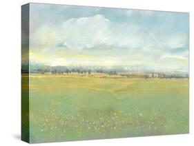 Soft Meadow Light II-Tim O'toole-Stretched Canvas