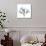 Soft Oleander-Albert Koetsier-Premium Giclee Print displayed on a wall