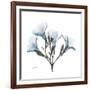 Soft Oleander-Albert Koetsier-Framed Premium Giclee Print