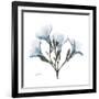 Soft Oleander-Albert Koetsier-Framed Premium Giclee Print