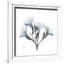 Soft Oleander-Albert Koetsier-Framed Premium Giclee Print