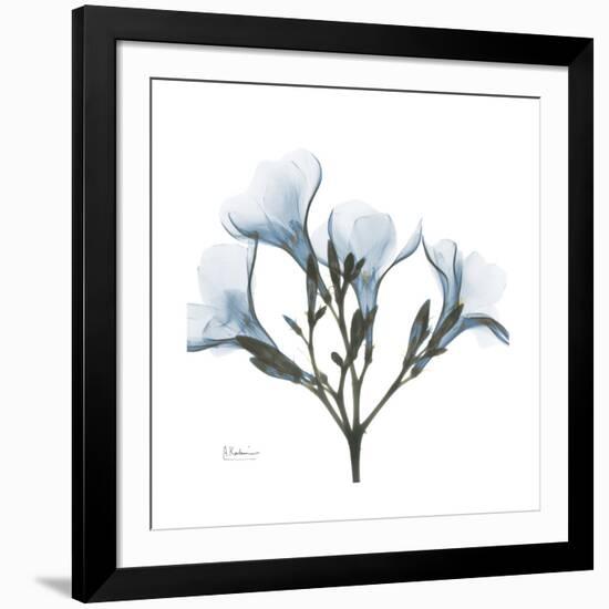 Soft Oleander-Albert Koetsier-Framed Premium Giclee Print