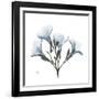 Soft Oleander-Albert Koetsier-Framed Premium Giclee Print