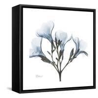 Soft Oleander-Albert Koetsier-Framed Stretched Canvas